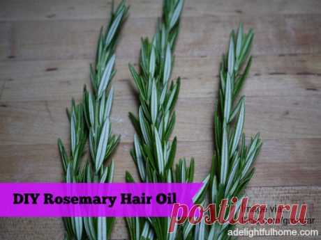 DIY Rosemary Hair Oil - A Delightful Home Rosemary is great for hair. Rosemary had been known to invigorate the scalp, stimulate hair growth, and soothe itchy skin. This makes it a great addition to hair and scalp treatments. One easy way to utilize the benefits of rosemary is to make rosemary oil. Rosemary oil is very simple to prepare. I’ll give you two methods. Both are easy, one takes a little more patience. How to Make Rosemary Hair Oil Method One: In a clean jar add ...