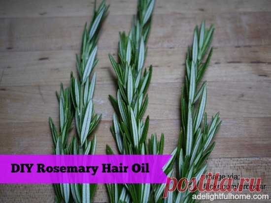 DIY Rosemary Hair Oil - A Delightful Home Rosemary is great for hair. Rosemary had been known to invigorate the scalp, stimulate hair growth, and soothe itchy skin. This makes it a great addition to hair and scalp treatments. One easy way to utilize the benefits of rosemary is to make rosemary oil. Rosemary oil is very simple to prepare. I’ll give you two methods. Both are easy, one takes a little more patience. How to Make Rosemary Hair Oil Method One: In a clean jar add ...