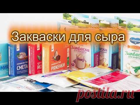 Закваски для сыра