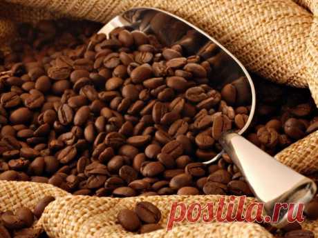 Готовим идеальный кофе: 10 ценных советов - Лайфхакер