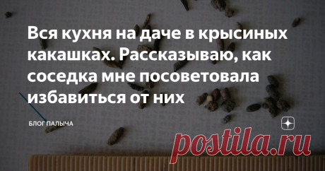 Вся кухня на даче в крысиных какашках. Рассказываю, как соседка мне посоветовала избавиться от них Вернувшись на свою дачу весной, я обнаружил крайне неприятный сюрприз. Пол в кухне был покрыт крысиным пометом! Они облюбовали все углы, кухня выглядела просто ужасно. Такая неприятность случилась со мной впервые: до этого у меня никогда не заводились крысы. Рассказываю, какие советы мне дала соседка по этому поводу...