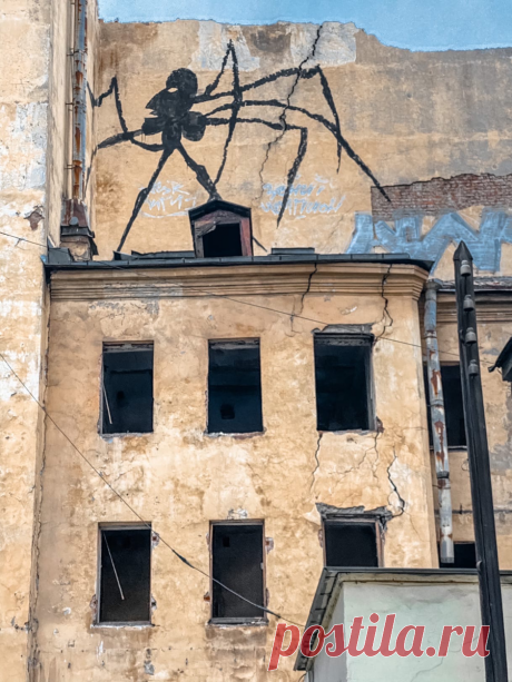 Непарадный Петербург - улица Тюшина. Показываю настоящую северную столицу, а не открыточную попсу. | Нетуристический путеводитель | Яндекс Дзен