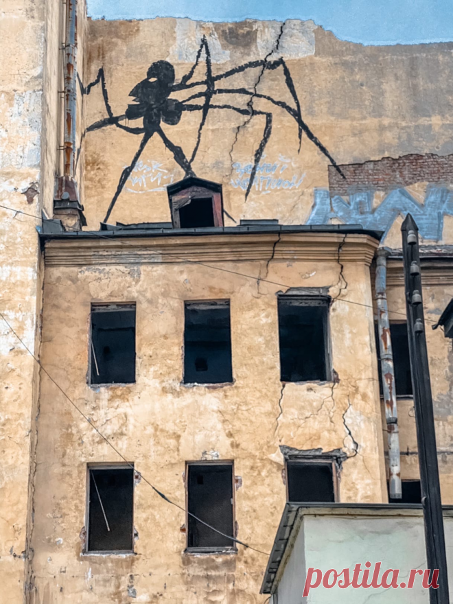 Непарадный Петербург - улица Тюшина. Показываю настоящую северную столицу, а не открыточную попсу. | Нетуристический путеводитель | Яндекс Дзен