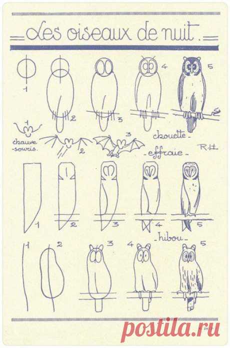 Поэтапное рисование карандашом - сова / Уроки рисования карандашом для начинающих - как научиться рисовать, учимся вместе / Ёжка - стихи, загадки, творчество и уроки рисования для детей