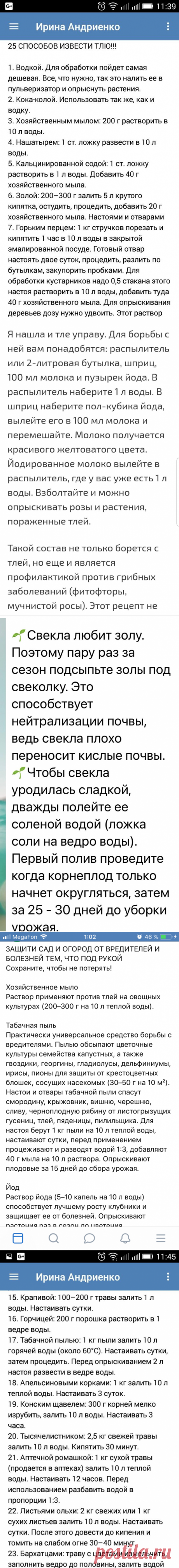 (1629) Pinterest