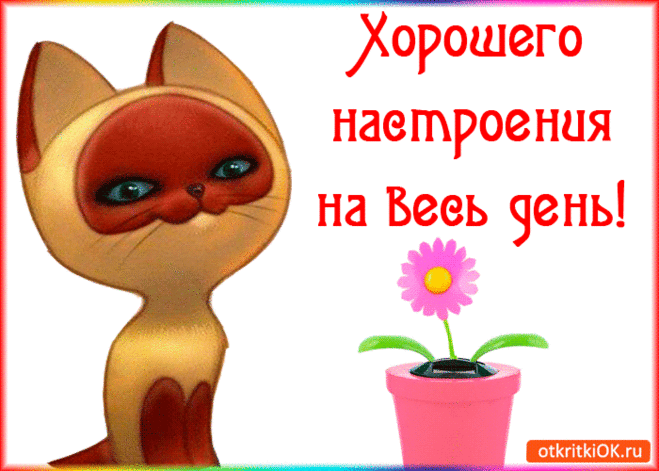 Хорошего настроения на весь день! - Бесплатные Открытки на otkritkiok ...