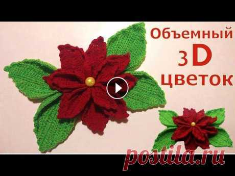 ОБЪЕМНЫЙ 3D ЦВЕТОК КРЮЧКОМ//МАСТЕР-КЛАСС//ВЯЗАНИЕ//РУКОДЕЛИЕ//ДЛЯ НАЧИНАЮЩИХ//CROCHET В этом видео мы с вами свяжем большой и красивый цветок крючком. Вяжется он очень просто и станет прекрасным как самостоятельным декором, так и дополн...