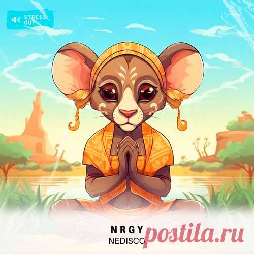 Nedisco - Nrgy free download mp3 music 320kbps