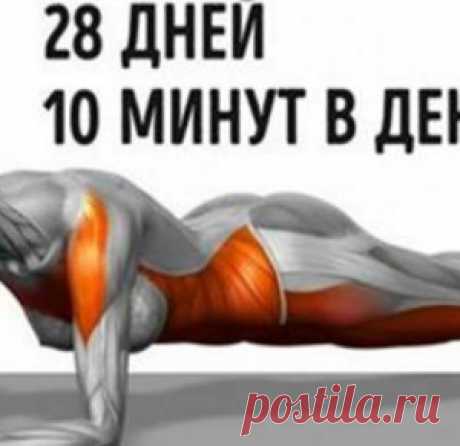 7 упражнений, которые преобразят ваше тело всего за 4 недели - МирТесен