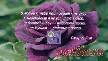 Интересные новости