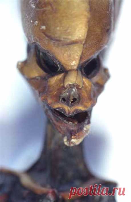 Ученые выяснили, кем был инопланетянин из пустыни Атакама