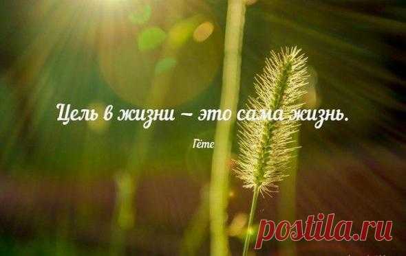 Житейская мудрость и мысли великих людей в картинках - 