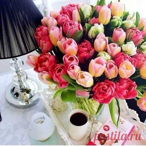 #goodday@looksima