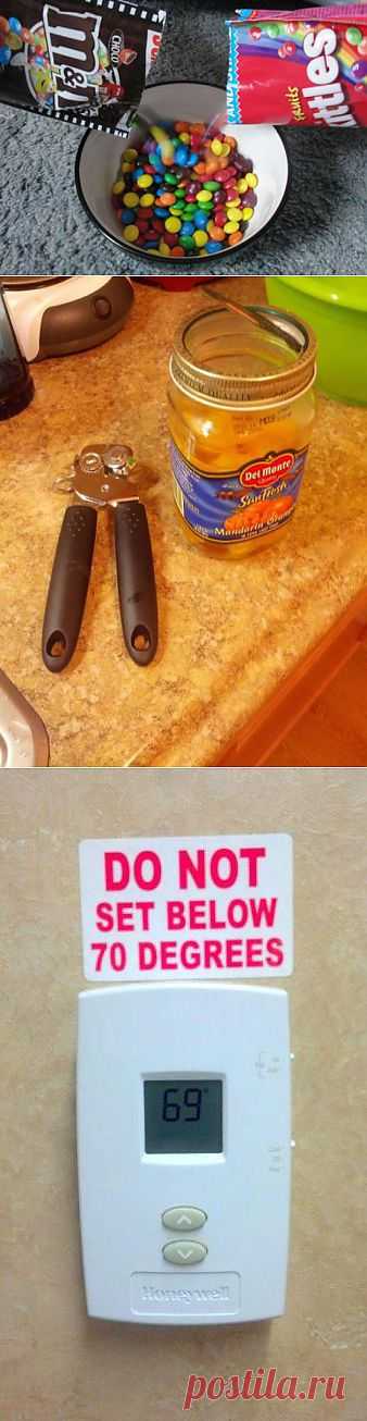 I’m a Rule Breaker (25 Pics) | FunCage