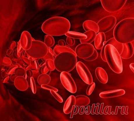 Группа крови указывает на характер