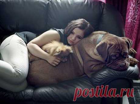 Sony World Photography Awards 2013: названы все победители / Hi-Tech.Mail.Ru