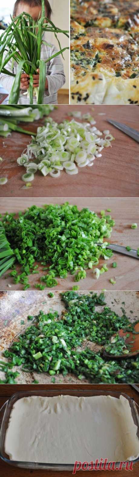 Открытый пирог с луком и сыром