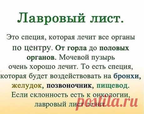 ЛАВРОВЫЙ ЛИСТ В ПОМОЩЬ | OK.RU