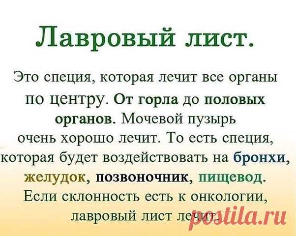 ЛАВРОВЫЙ ЛИСТ В ПОМОЩЬ | OK.RU