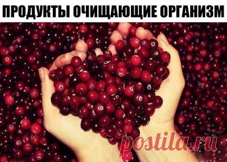 7 продуктов, которые очищают организм лучше, чем любые лекарства 
 Красная свекла
Это "чистильщик" организма №1. Во-первых, она содержит клетчатку , фосфор, медь, витамин С и ряд органических кислот, которые улучшают "движение" еды и уничтожает "плохие" гнилостные бактерии в кишечнике. Во-вторых, в ее состав входит липотропное вещество "бетаин", которое заставлять печень лучше избавляться от токсинов. А, в-третьих, свекла способствует омоложению организма за счет фолиевой ...