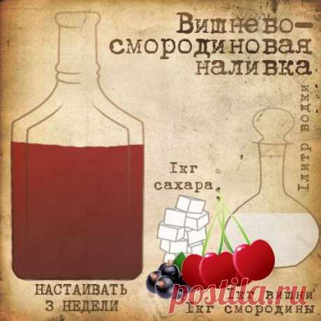5 самых вкусных наливок: Вишнево-смородиновая наливка, из красной смородины, Черничная наливка, Вишневая наливка | Drink&amp;Food Inform. Рецепты блюд, коктейлей и кулинарные идеи