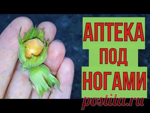Стакан в день и дорога в больницу забыта навсегда. Укрепляет сердце, сосуды.