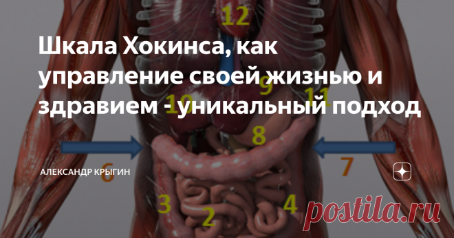 Шкала Хокинса, как управление своей жизнью и здравием - уникальный подход Чем мне понравилась эта шкала? Она очень показательна в смысле понимания, на каком энергетическом уровне находится человек. Сплошь и рядом слышим о жизненной энергии – а как её ощутить в своём личном теле? Это что и как? По Хокинсу любуемся вот этой очень красочной ШКАЛОЙ: Теперь о СМЫСЛАХ: Пребываешь по большей части в состояниях ниже 200 – значит, живёшь за счёт внутренних ресурсов своего тела. Ран...