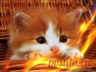 Позитив