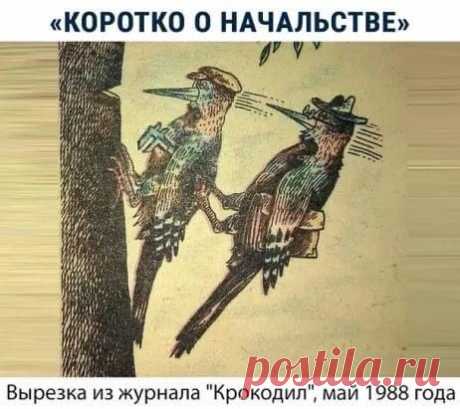 15 мемов про собеседования, вакансии и миллионеров
