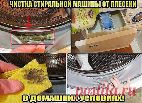 ​Чистка стиральной машины от плесени — Полезные советы