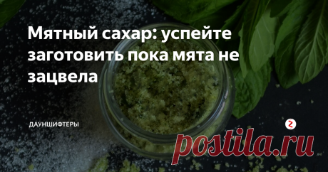 Мятный сахар: успейте заготовить пока мята не зацвела Делаю его именно сейчас, в конце весны — начале лета, пока мята не цветёт и листочки ещё нежные.