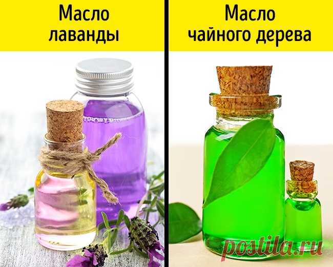 10 простых способов быстро отрастить красивые брови