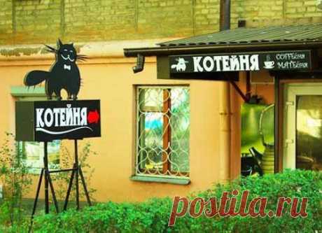 Прикольные картинки для хорошего настроения