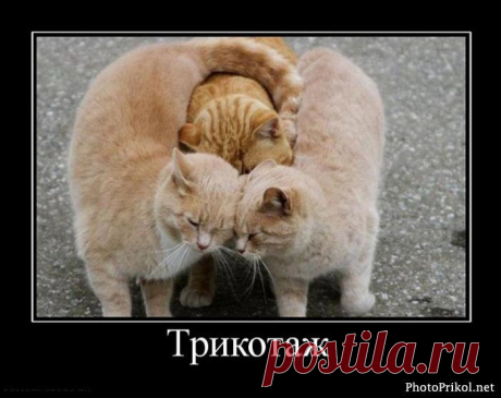 Трикотаж