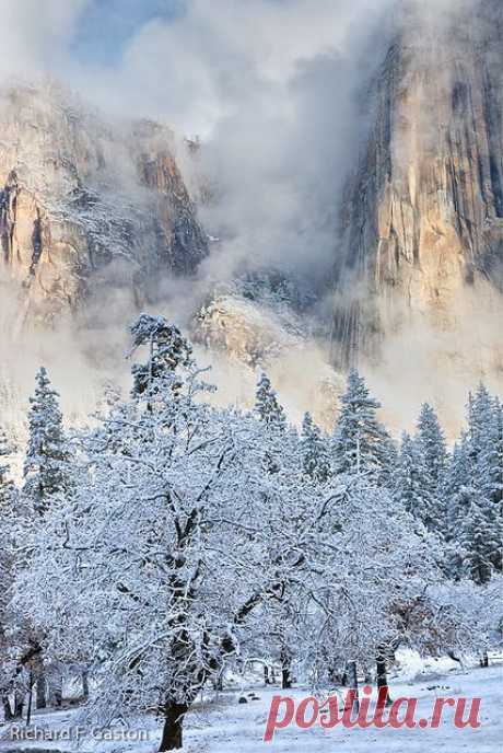 Yosemite National Park; photo by Richard Gaston via Flickr / Mary Ann приколол(а) это к доске Yosemite