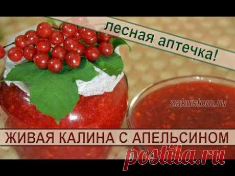 Живая калина с апельсином: вкуснейший, простой рецепт заготовки калины на зиму. Recipe from viburnum