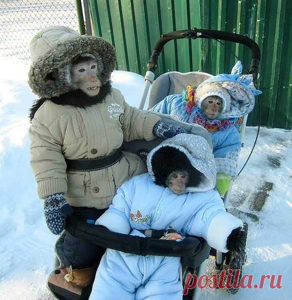 Вот, детей выгуливаю....