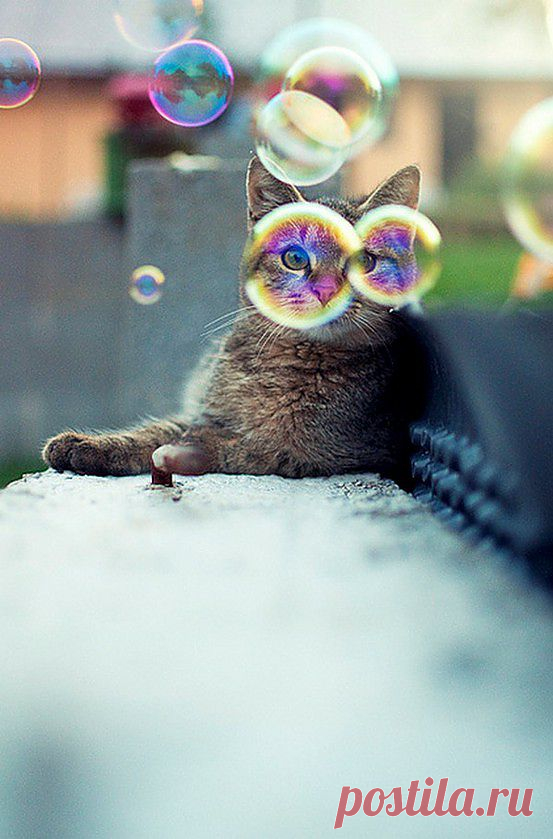 Bubbles - Imgur
