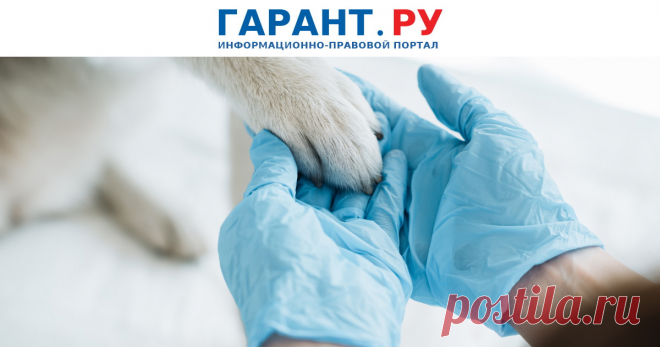 С 1 сентября – новый порядок выписки ветеринарных рецептов В частности, при назначении лекарства владельца животного будут информировать о наличии взаимозаменяемых лекарственных препаратов.