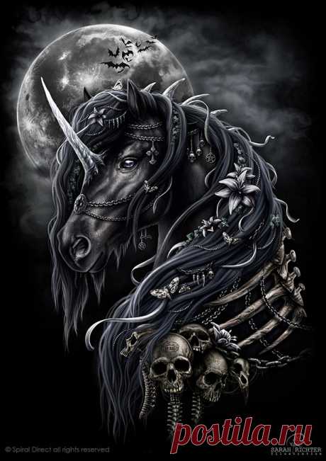 sarah-richter-unicorn-logo.jpg (615×870)