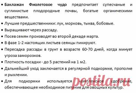Баклажан Фиолетовое чудо: отзывы, фото, урожайность, характеристика и описание сорта