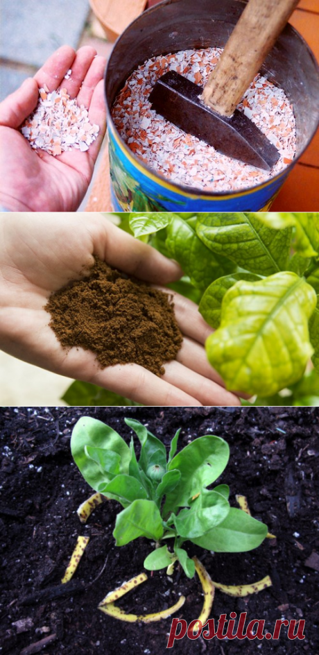 Как улучшить почву без компоста