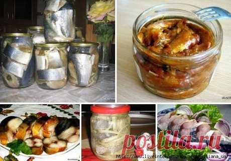 Солёная, маринованная, копчёная рыбка легко! Самые вкусные рецепты!
