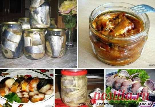 Солёная, маринованная, копчёная рыбка легко! Самые вкусные рецепты!
