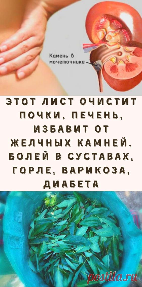 Работа печени и почек