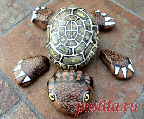 Painted Turtle