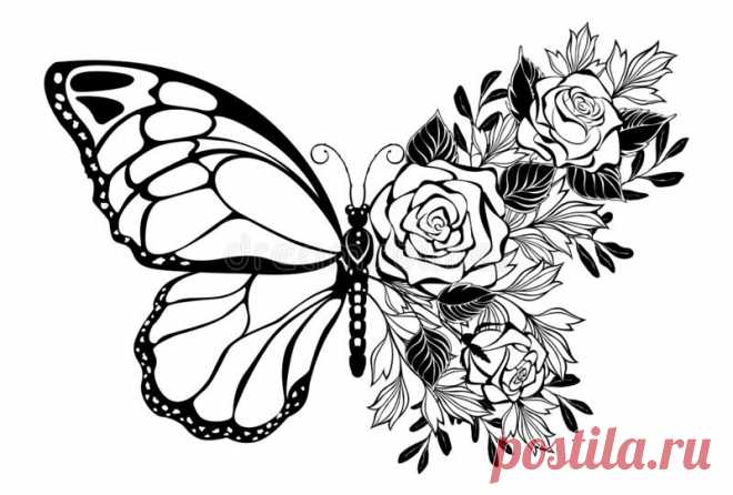 flower-butterfly-rose-composition-contour-bouquet-silhouette-roses-ornamental-plants-white-background-224047249.jpg (800×541)