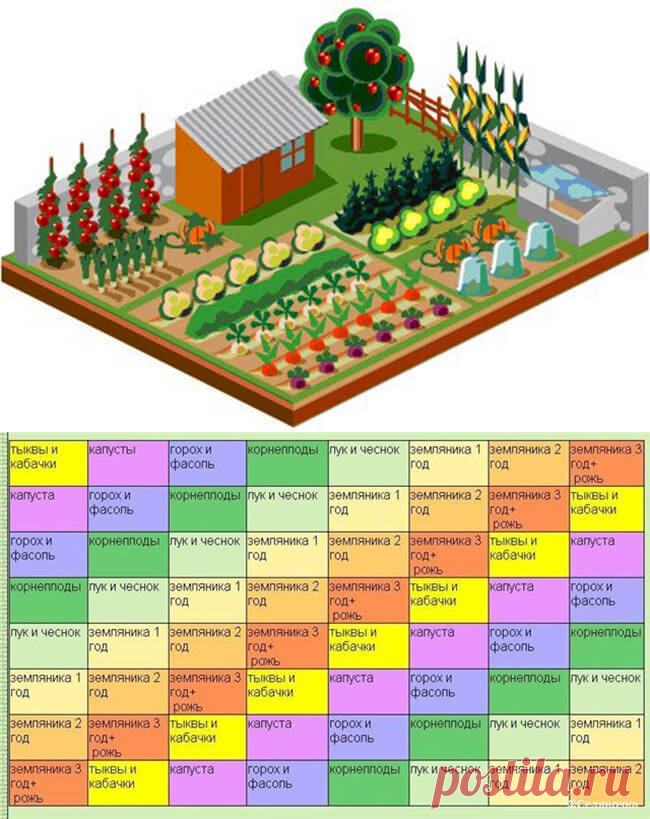 Сколько огорода посадить. План посадок в огороде. Схема посадки огорода. Расположение овощей на грядках. План посадки овощей на огороде.