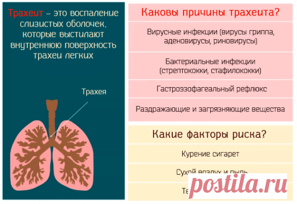 Трахеидный кашель: как лечить сухой приступообразный народными средствами, остаточный, средства, сироп, таблетки, сколько длится