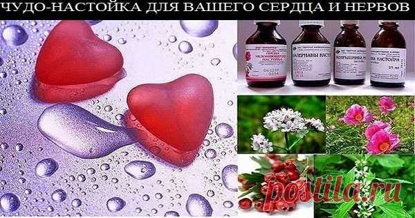 ВРАЧИ МОЛЧАТ ОБ ЭТОМ! ! ЧУДО-НАСТОЙКА ДЛЯ ВАШЕГО СЕРДЦА И НЕРВОВ.Возможности весьма широкие. | Узнал сам - расскажи другому.